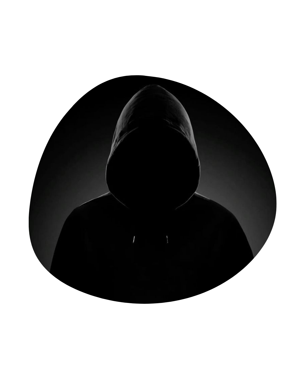 Anonymous security figure